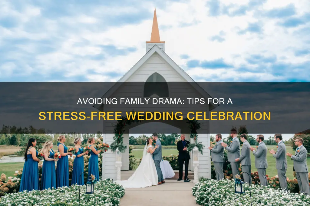 how to avoid family drama at a wedding