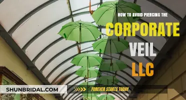 Protect Your LLC: Strategies to Avoid Piercing the Corporate Veil