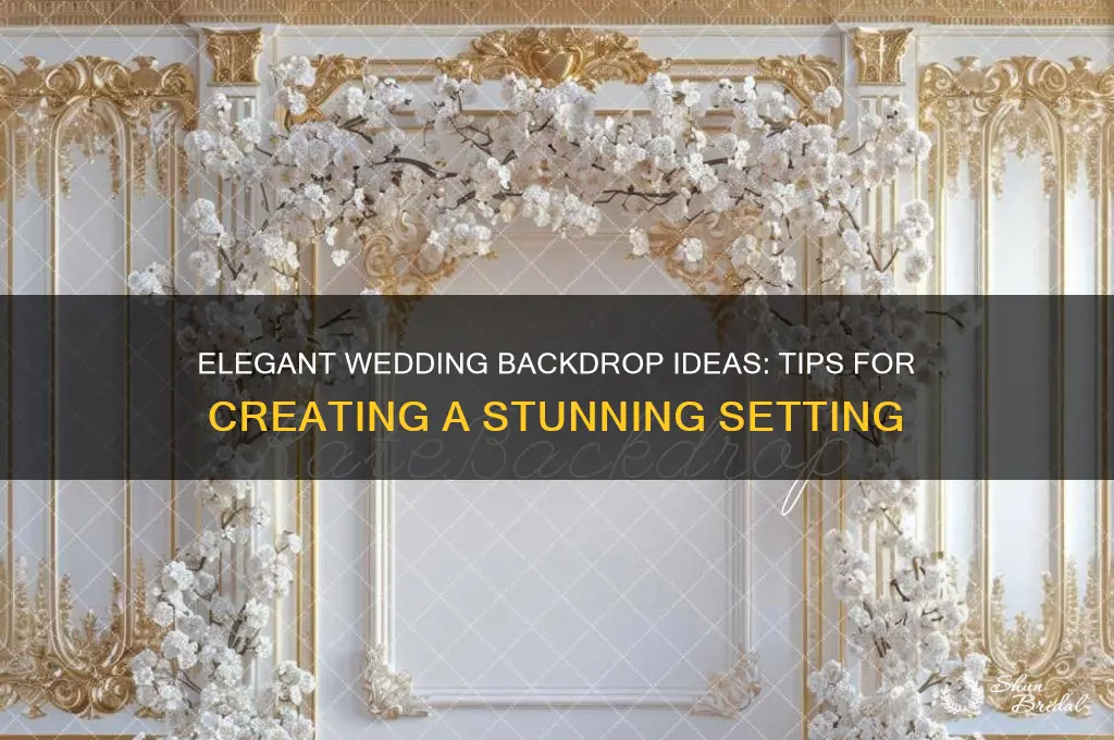how to backdrop wedding