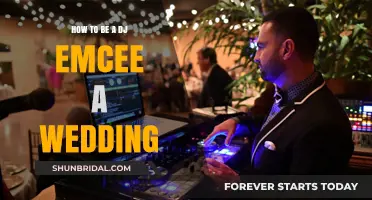 Mastering the Art of DJ Emceeing at Weddings: Tips and Tricks