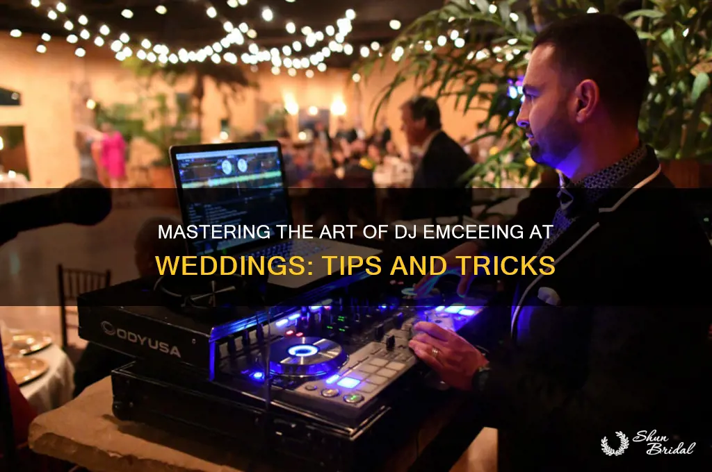 how to be a dj emcee a wedding