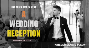 Emcee a Wedding: Guide to Being a Master of Ceremonies