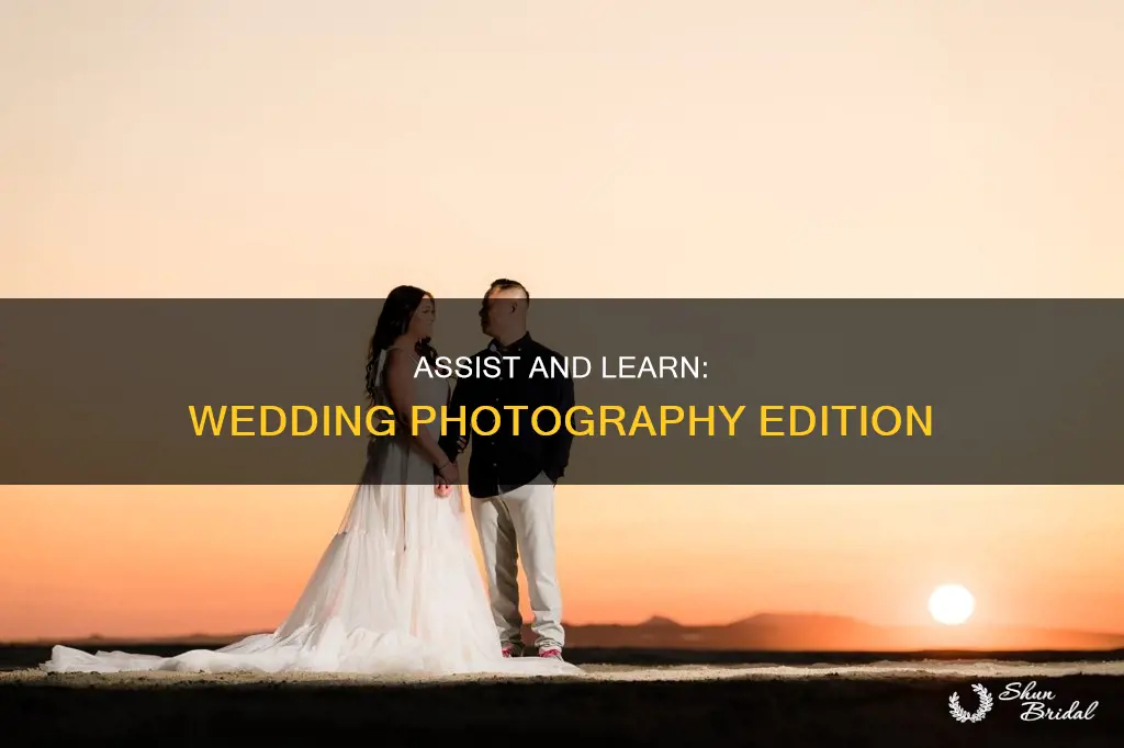 how to be a good wedding photographer assistant