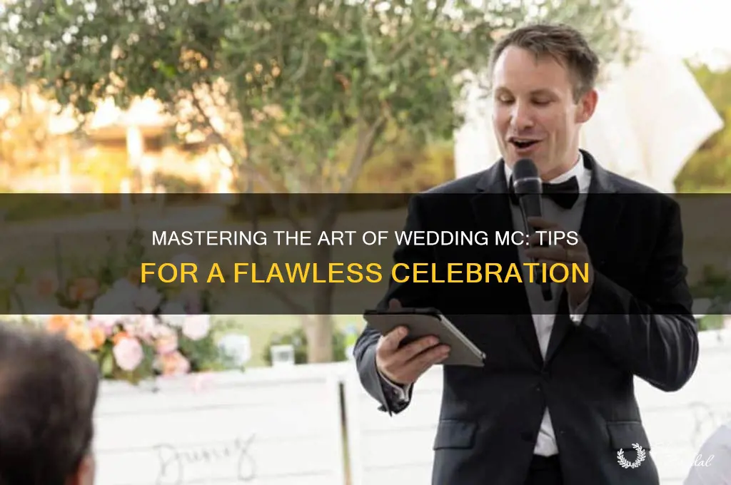 how to be a master of ceremony at a wedding