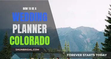 Colorado Wedding Planner: Steps to Success