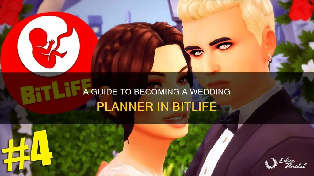 how to be a wedding planner in bitlife