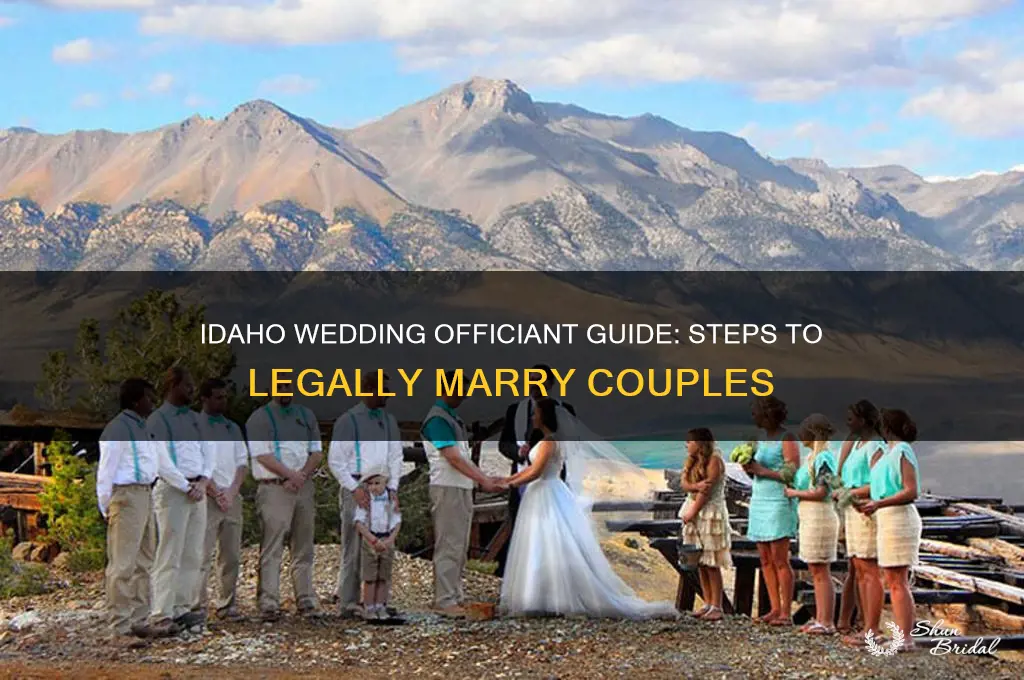 how to be allowed to officiate a wedding idaho