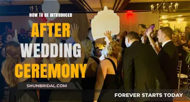 Post-Wedding Introductions: Tips for a Smooth and Memorable First Greeting