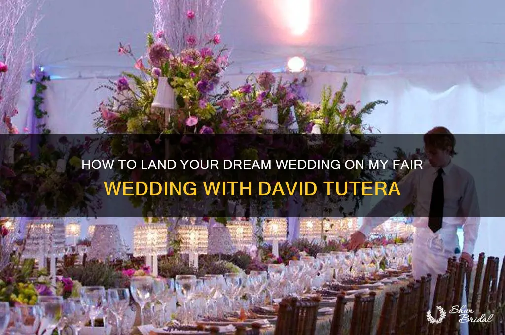 how to be on my fair wedding david tutera