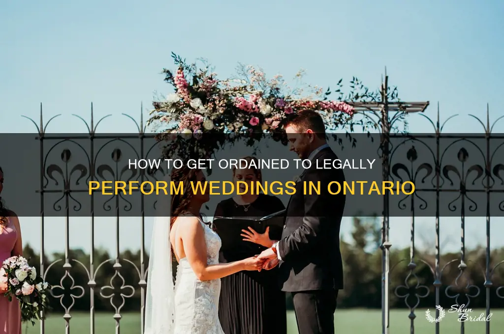 how to be ordained to perform weddings in ontario