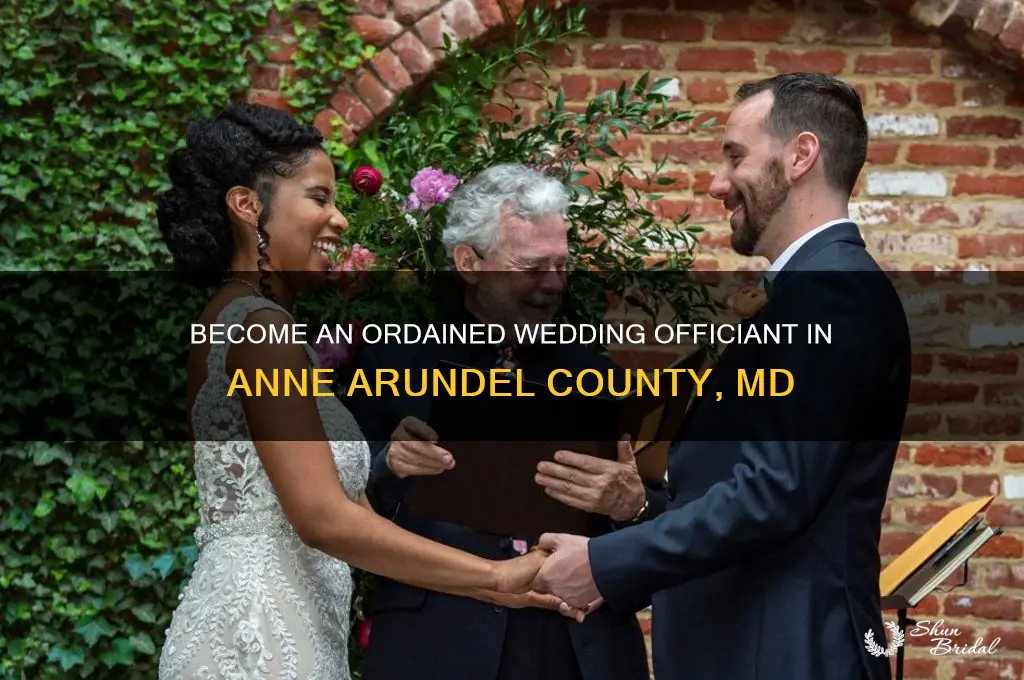 how to be ordained wedding officiant anne arundel county md