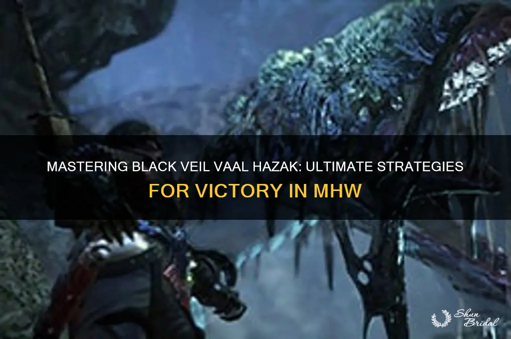 how to beat black veil vaal hazak