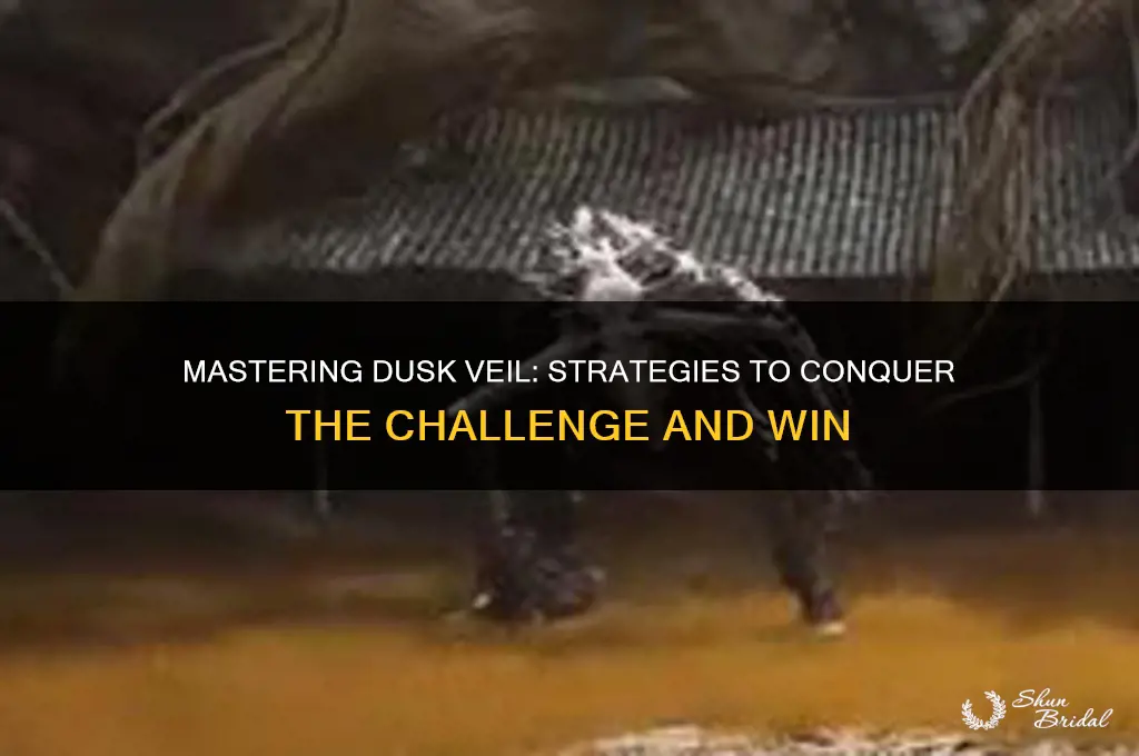 how to beat dusk veil