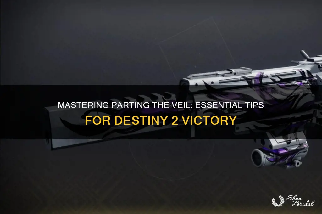 how to beat parting the veil destiny 2