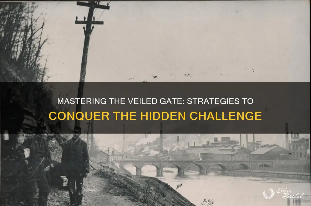 how to beat the veiled gate
