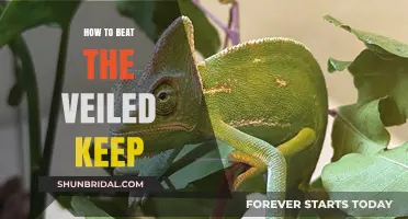 Mastering the Veiled Keep: Strategies to Conquer the Hidden Challenge