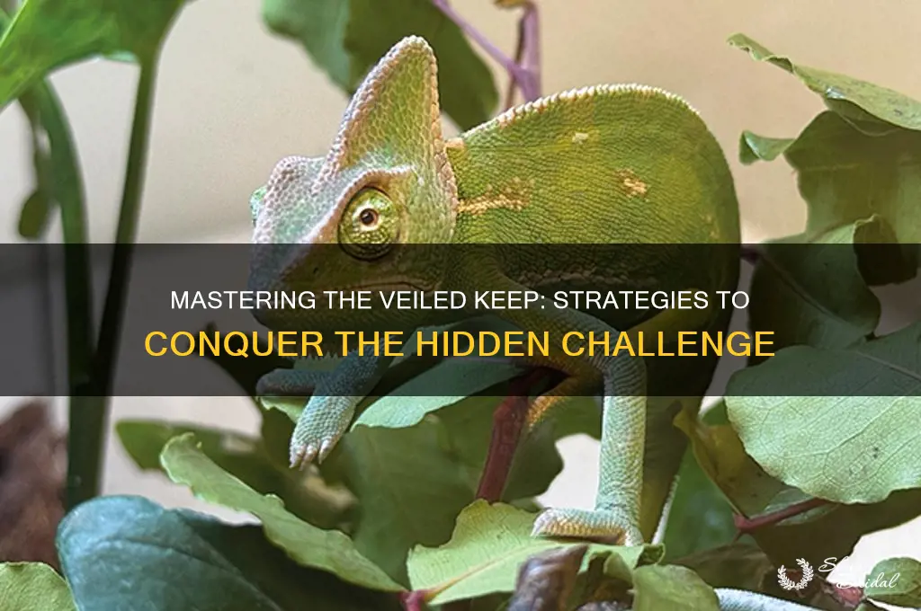 how to beat the veiled keep