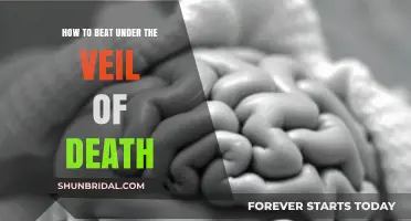 Conquering Mortality: Strategies to Overcome the Veil of Death