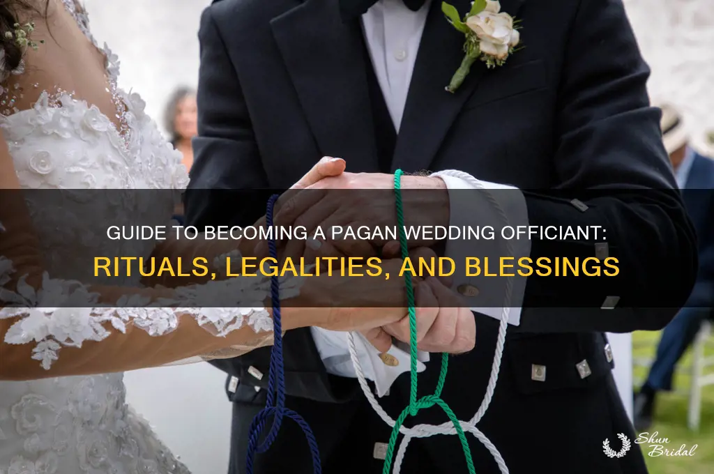 how to become a pagan wedding officiant