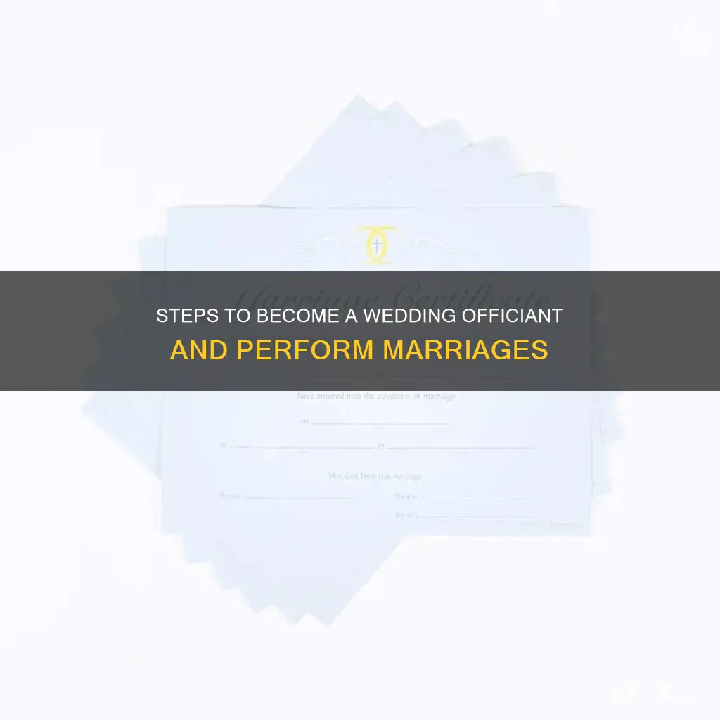 how to become a wedding minister