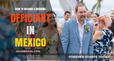 Your Guide to Becoming a Certified Wedding Officiant in Mexico