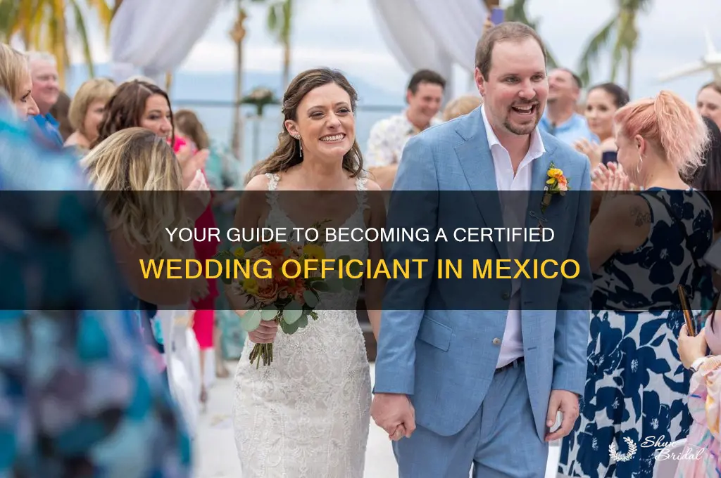 how to become a wedding officiant in mexico