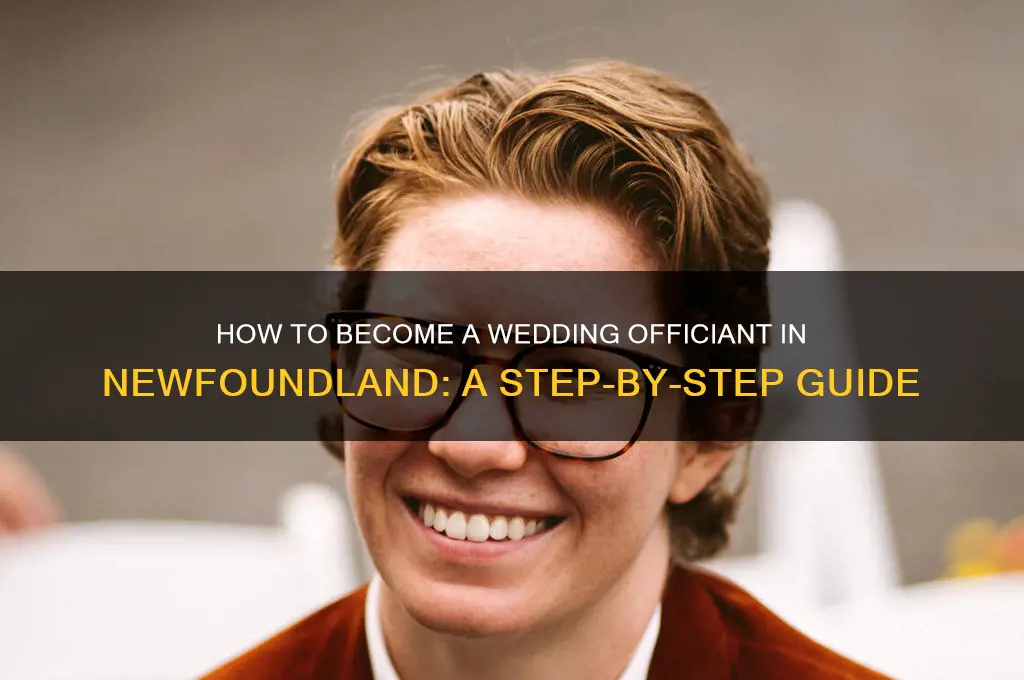 how to become a wedding officiant in newfoundland