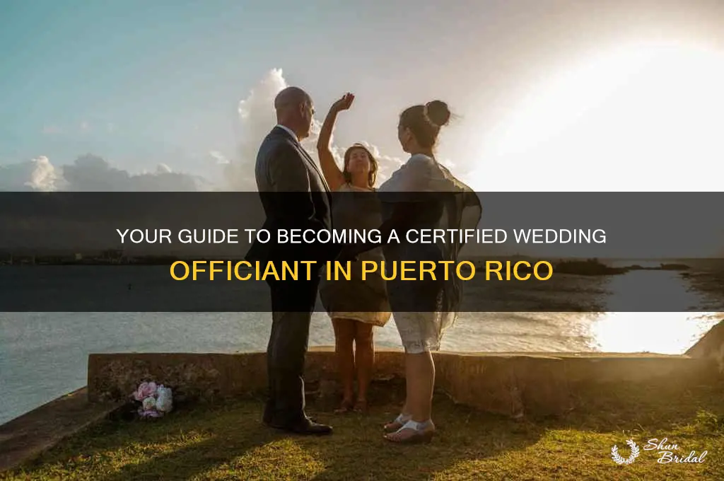 how to become a wedding officiant in puerto rico