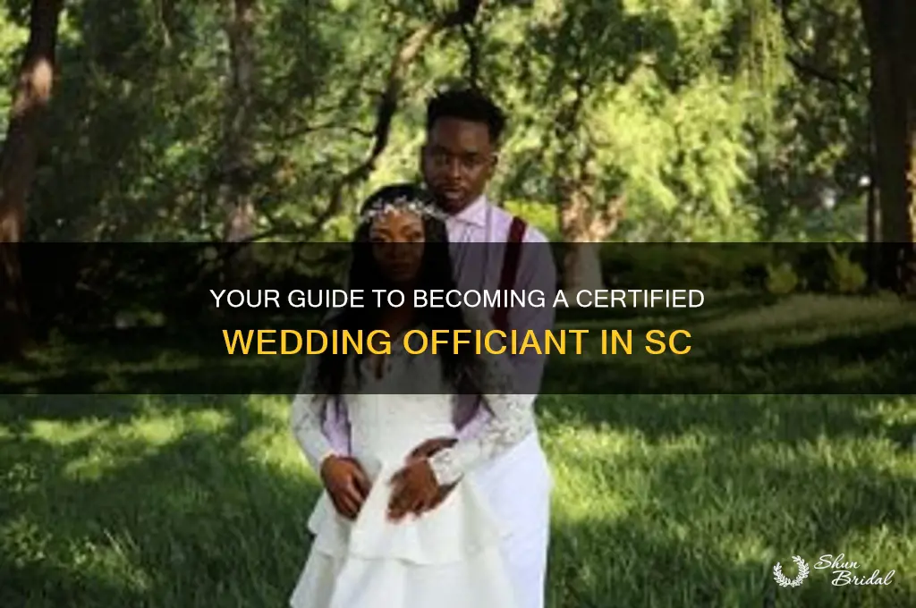 how to become a wedding officiant in sc