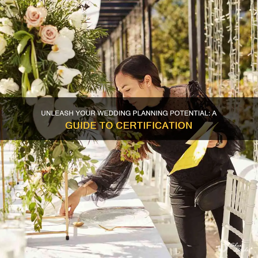 how to become a wedding planner wedding planning certification