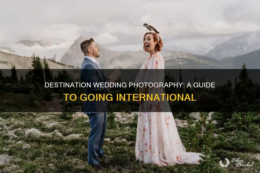 how to become an international wedding photographer