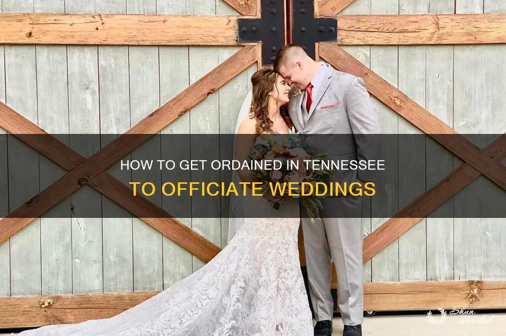 how to become ordaoned in tn to perform wedding ceremony
