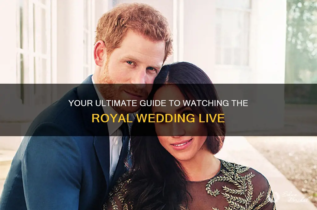 how to best watch the royal wedding