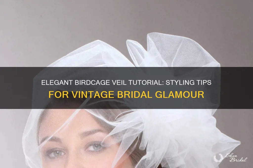 how to birdcage veil
