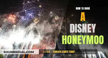Planning a Magical Disney Honeymoon: A Step-by-Step Guide