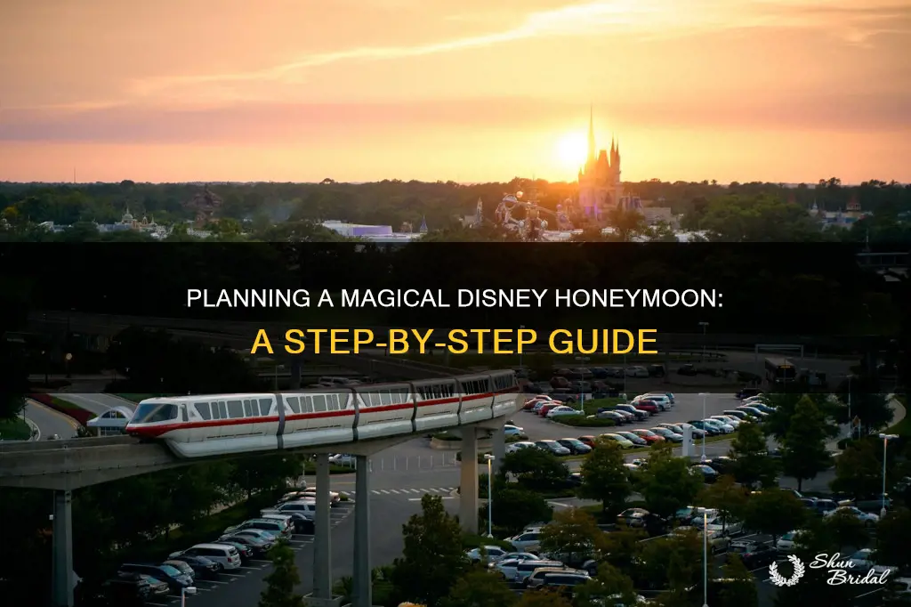 how to book a disney honeymoon