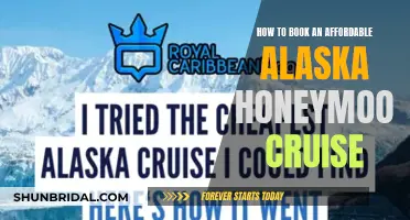 Romantic Alaska Cruise: Tips for an Affordable Honeymoon Adventure