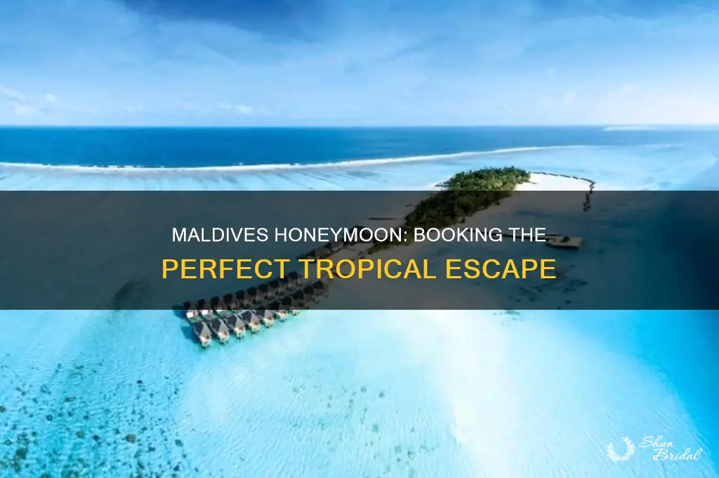 how to book honeymoon package for maldives