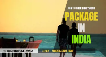 Honeymoon Packages: Booking Your Dream Indian Vacation