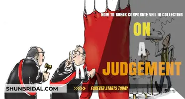 Piercing the Corporate Veil: Strategies for Collecting on a Judgment