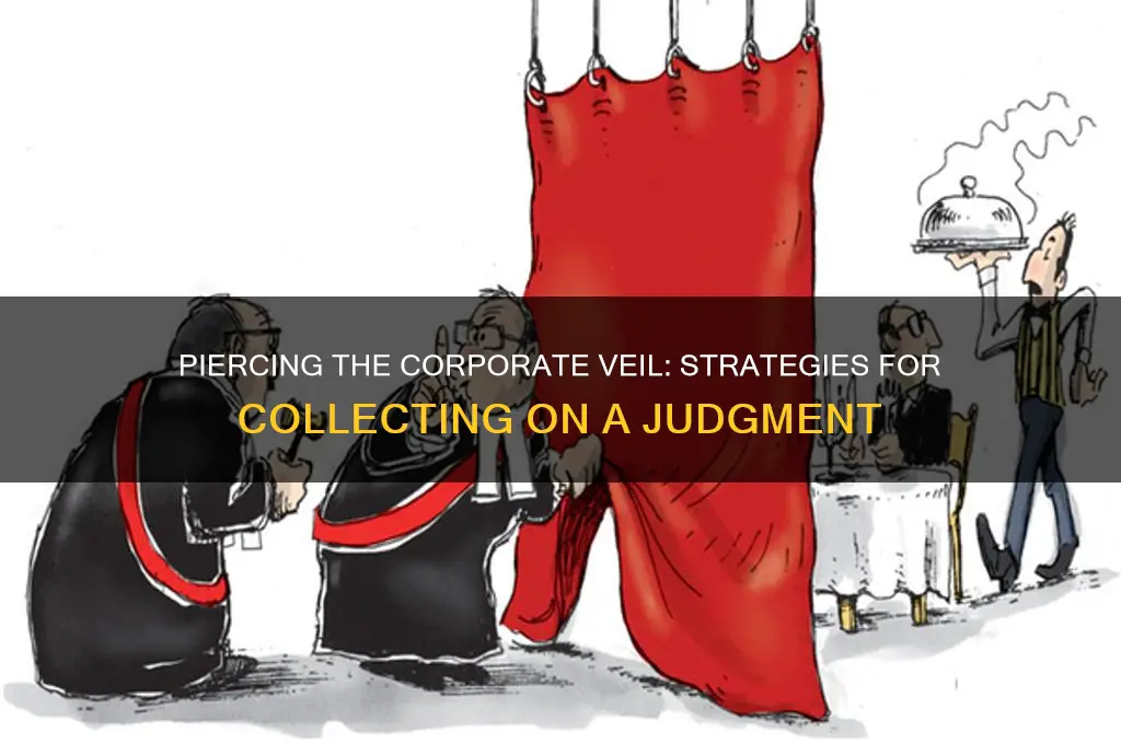 how to break corporate veil in collecting on a judgement