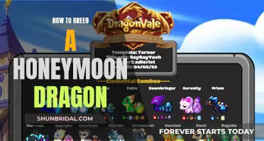 Breeding a Dragon: A Guide to Honeymooning with Your Creature Companion