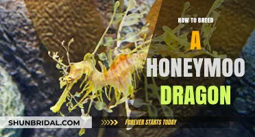 Breeding the Honeymoon Dragon: A Step-by-Step Guide to Success
