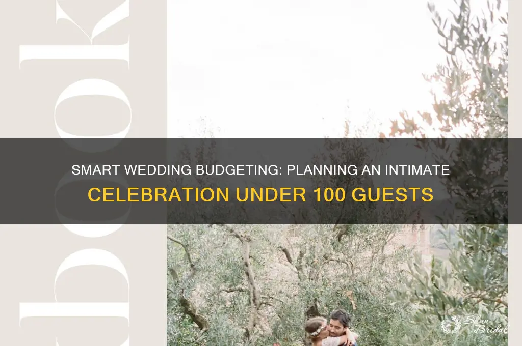how to budget a wedding under 100 people