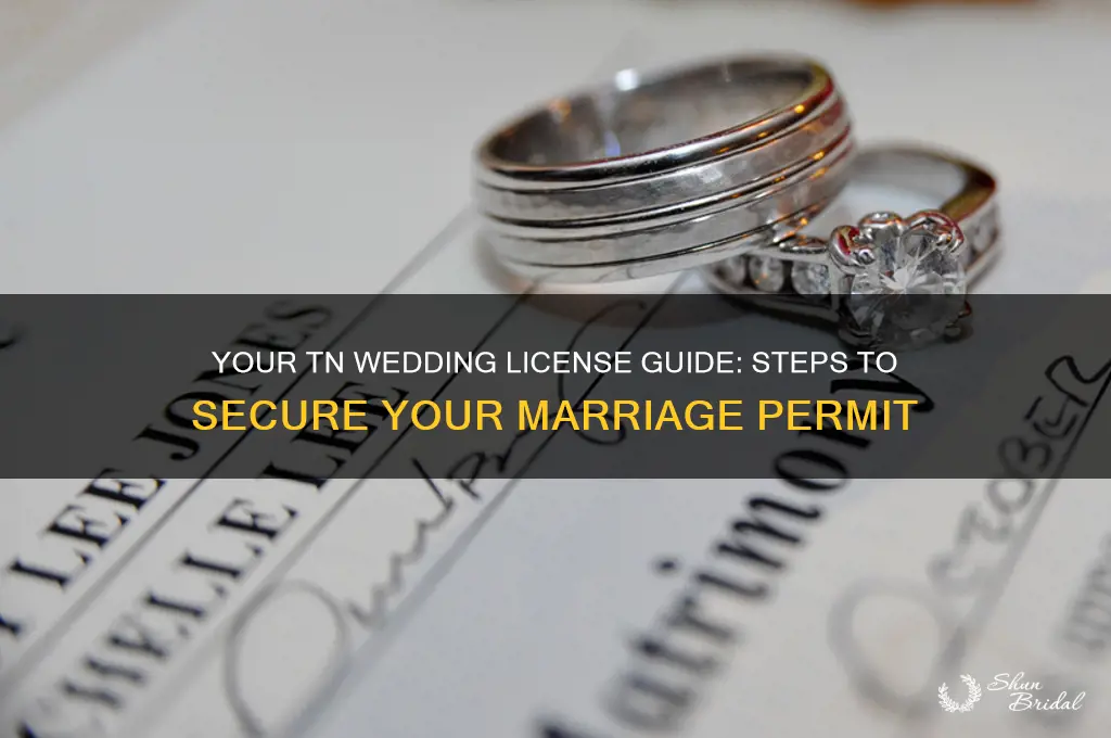 how to buy a wedding license in tn