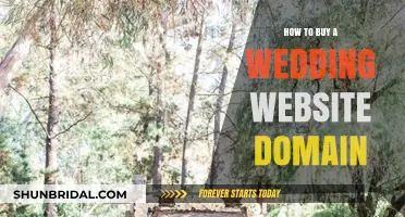 Choosing the Perfect Wedding Website Domain: A Step-by-Step Guide