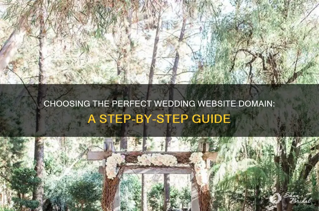 how to buy a wedding website domain