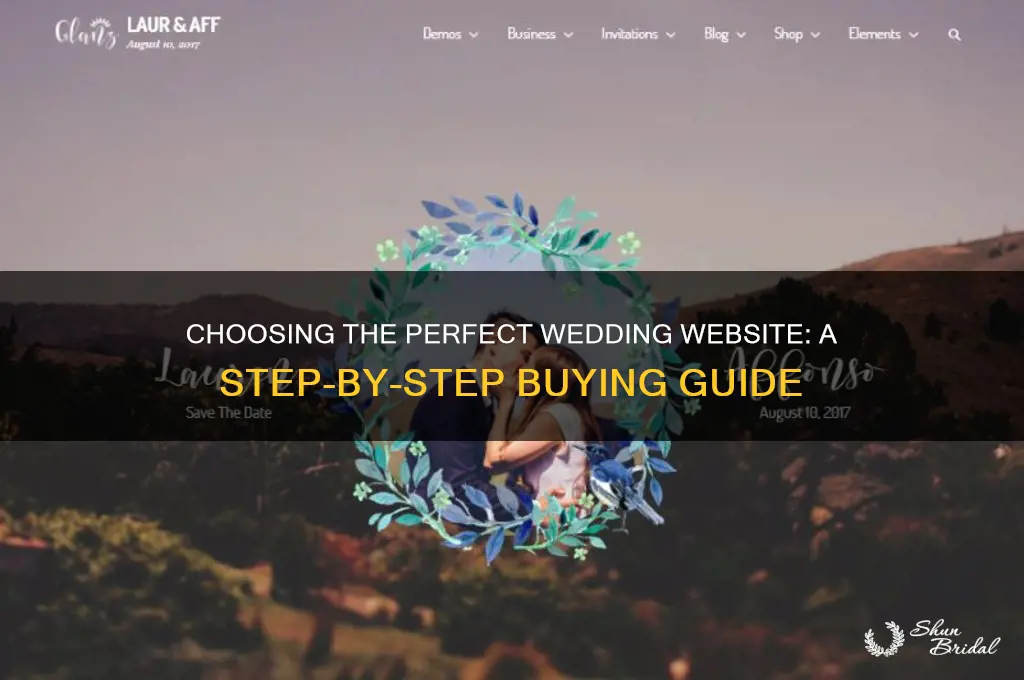 how to buy a wedding website