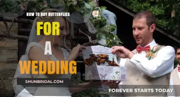 Elegant Butterfly Release: A Guide to Buying Butterflies for Your Wedding