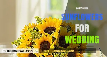 Choosing Perfect Sunflowers for Your Dream Wedding: A Complete Guide